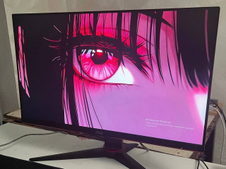 monitory